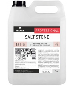 Salt Stone